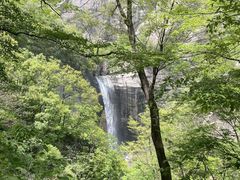 -洛阳白云山景区