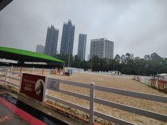-名驭国际马术学院