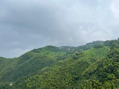 -莫干山风景区