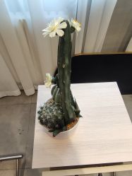-MOVAN HAIR莫凡匠人发型屋