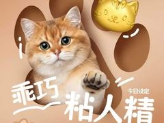 -万达广场(龙湖店)