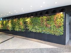 -香港ELEMENTS圆方
