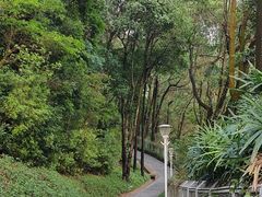 -深圳湾公园(南山区)