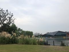 -上海长兴岛郊野公园