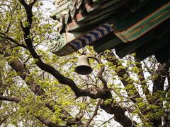 -潭柘寺景区