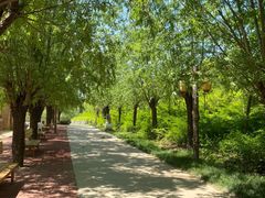 -西部长青自然儿童乐园