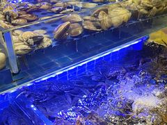 -四囍码头海鲜烧烤自助火锅(外滩南京东路悦荟广场店)