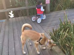 -白鹭湾湿地公园