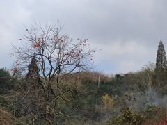 -丹山赤水风景名胜区