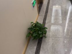 -雅曼妮spa美容养生