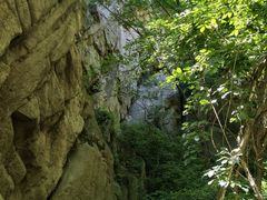 -大岭沟猕猴桃谷风景区