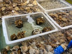 -青石桥市场北1-27号