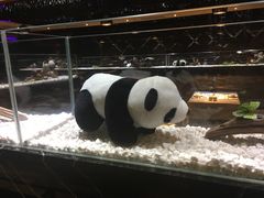 -红辣椒·川菜·火锅(张杨路店)