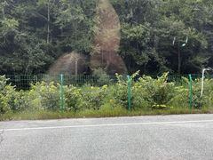 -素山寺森林公园