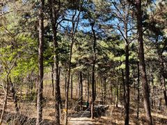 -北京西山国家森林公园