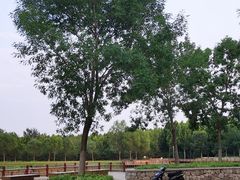 -东郊湿地公园