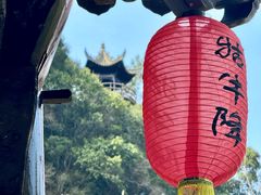 -石台牯牛降景区