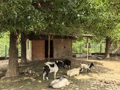 -武汉紫薇都市田园