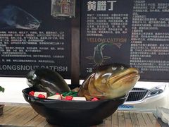 -江龙饭店·乌江豆腐鱼(乌江老桥头店)