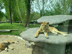 -北京野生动物园