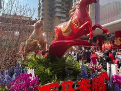 -越秀西湖花市(广州城市广场花卉店)