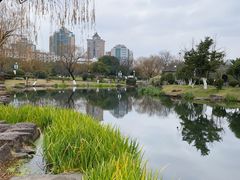 -月湖公园