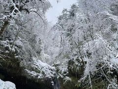 -龙苍沟森林公园