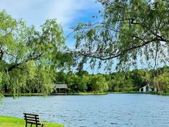 -上海共青森林公园