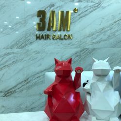 -3AM HAIR SALON烫发染发接发