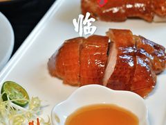 -彩丰楼中餐厅·早茶·点心·粤菜(海口华彩洲际酒店)