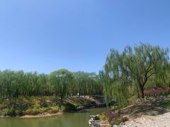 -大兴滨河森林公园