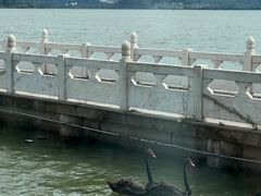 -东钱湖小普陀景区