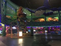 -青岛嘉年华主题乐园