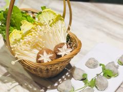 -同仁四季椰子鸡(福田东园总店)