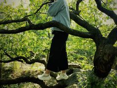 -秀丽东方