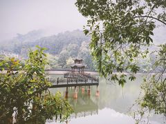 -江西阳明山国家森林公园