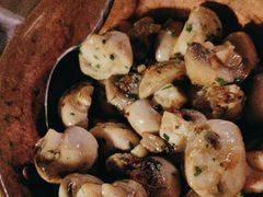 炒蘑菇-Solo(衡山路店)