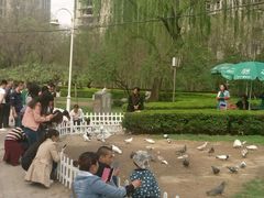 android_upload_pic-迎泽公园