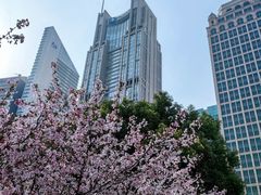 -陆家嘴中心绿地
