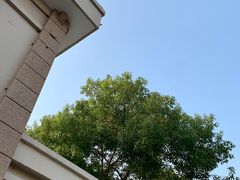 -南京航空航天大学(明故宫校区)
