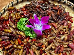 -老滇山寨•云南特色菜•地方菜•民族风情歌舞表演(金碧店)