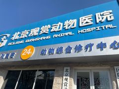 -北京观赏动物医院·24小时大型综合·猫专科·异宠专科