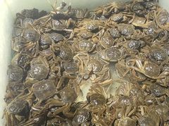 -圣罗巴海鲜烤肉自助(新乡万达店)