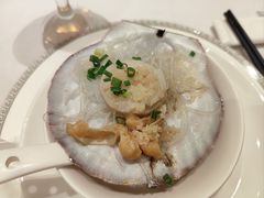 -新成海港大酒楼(康华路店)