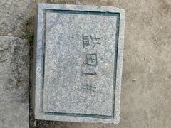 -梧桐山风景名胜区