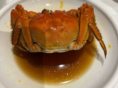 -老吉士酒家(天平路店)