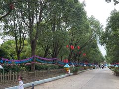 -上海都市菜园