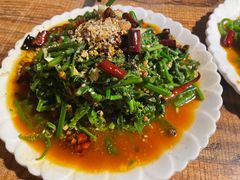 炒水蕨菜-岩伟傣味傣家菜