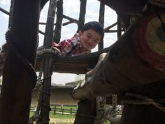 -田园东方蜜桃村的田野营地