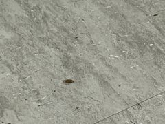 -海富荣·锅贴·陕菜家常菜(阳光城店)